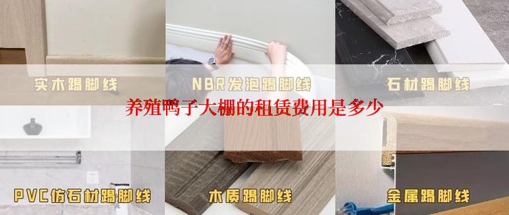 养殖鸭子大棚的租赁费用是多少