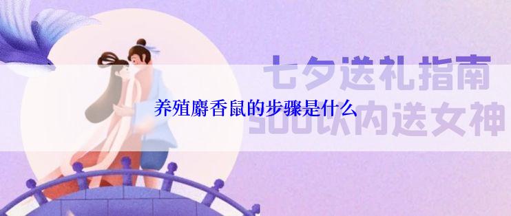 养殖麝香鼠的步骤是什么
