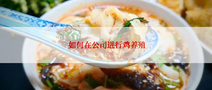  如何在公司进行鸡养殖