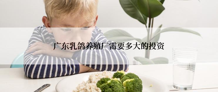 广东乳鸽养殖厂需要多大的投资