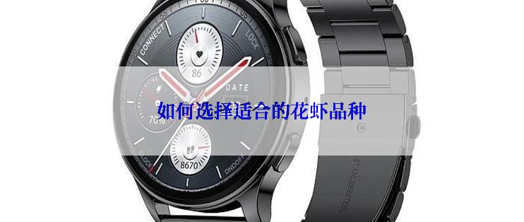 如何选择适合的花虾品种