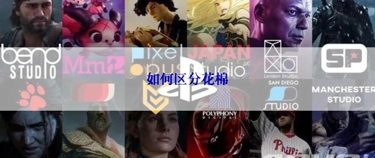 如何区分花棉