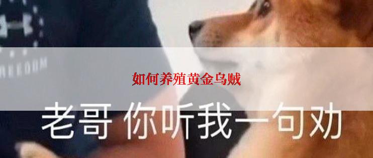 如何养殖黄金乌贼