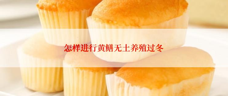怎样进行黄鳝无土养殖过冬