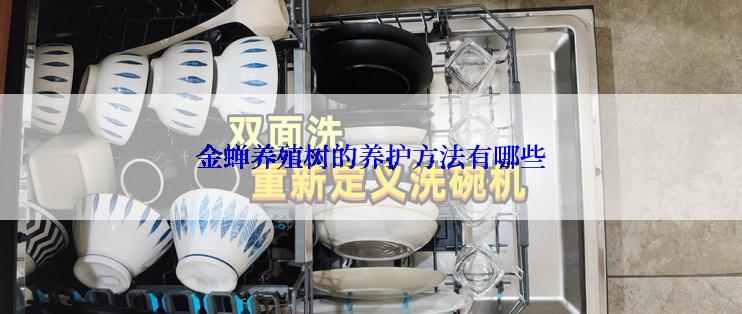 金蝉养殖树的养护方法有哪些