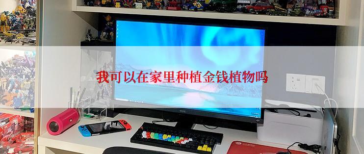 我可以在家里种植金钱植物吗