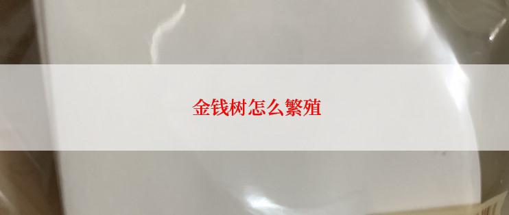  金钱树怎么繁殖