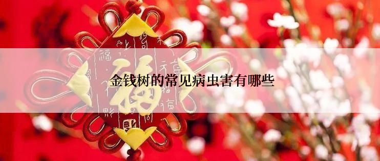  金钱树的常见病虫害有哪些