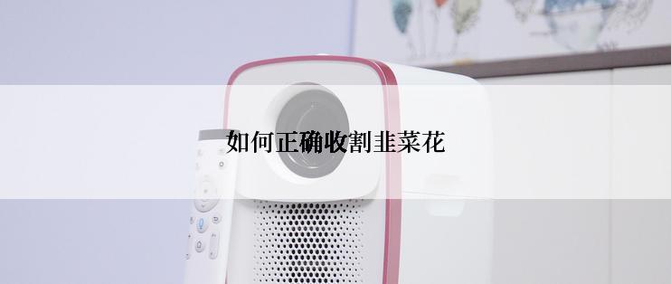 如何正确收割韭菜花