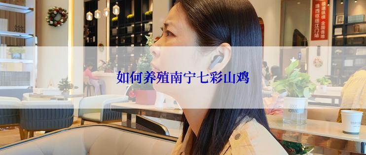如何养殖南宁七彩山鸡