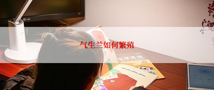 气生兰如何繁殖