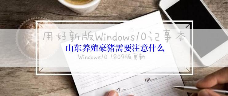  山东养殖豪猪需要注意什么
