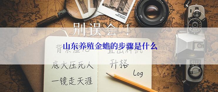  山东养殖金蟾的步骤是什么