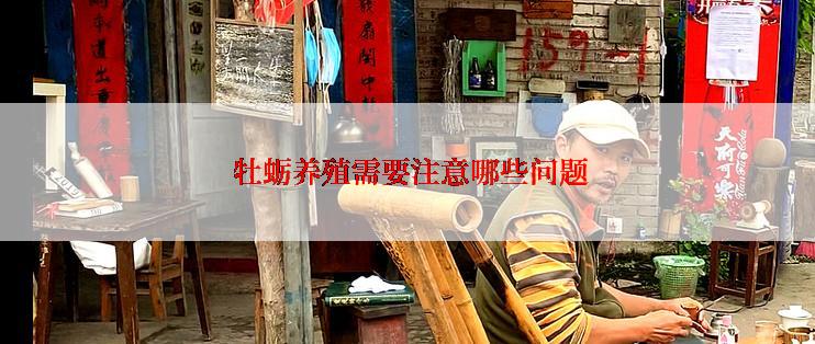  牡蛎养殖需要注意哪些问题