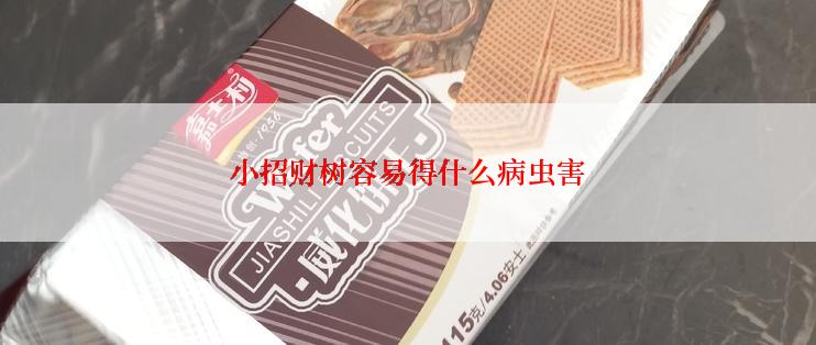小招财树容易得什么病虫害