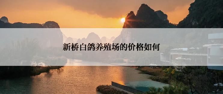 新桥白鸽养殖场的价格如何
