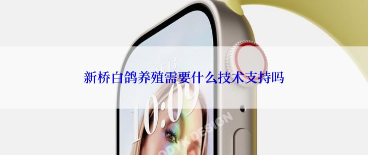 新桥白鸽养殖需要什么技术支持吗