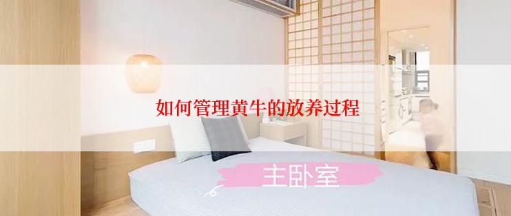  如何管理黄牛的放养过程