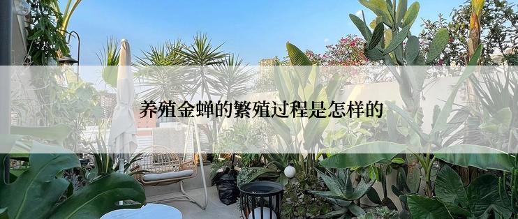 养殖金蝉的繁殖过程是怎样的
