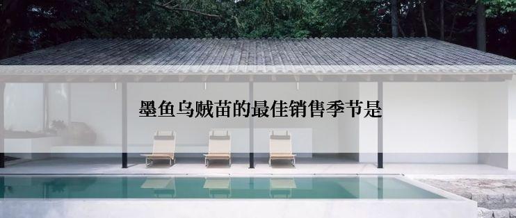  墨鱼乌贼苗的最佳销售季节是