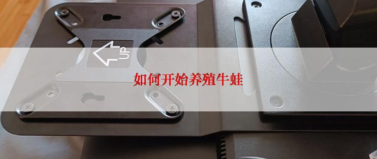 如何开始养殖牛蛙