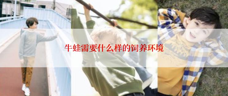 牛蛙需要什么样的饲养环境