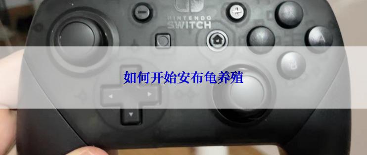 如何开始安布龟养殖