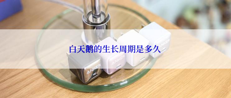 白天鹅的生长周期是多久