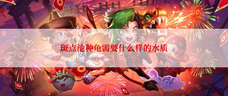 斑点池种龟需要什么样的水质