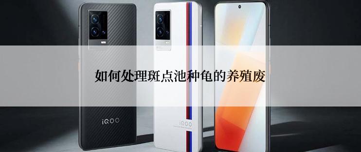如何处理斑点池种龟的养殖废