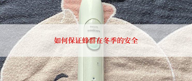 如何保证蜂群在冬季的安全