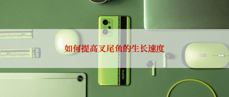 如何提高叉尾鱼的生长速度