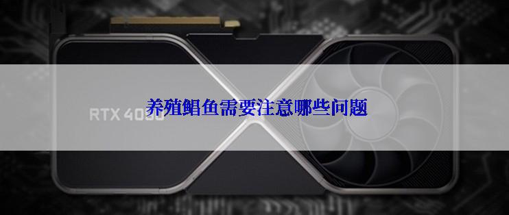  养殖鲳鱼需要注意哪些问题