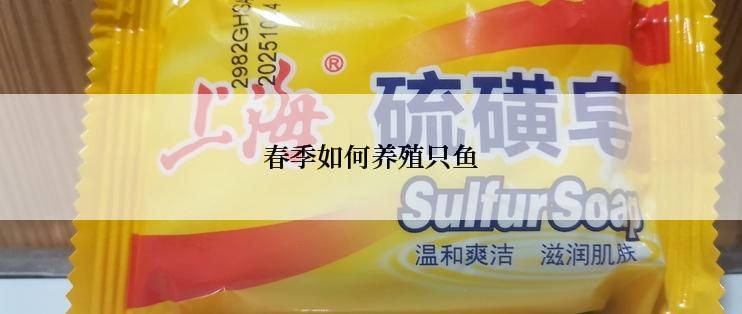 春季如何养殖只鱼