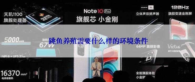  跳鱼养殖需要什么样的环境条件