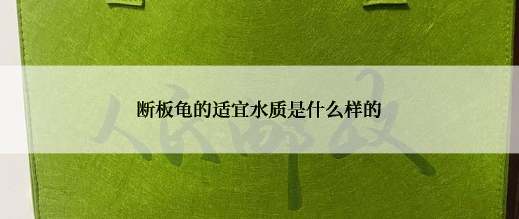 断板龟的适宜水质是什么样的