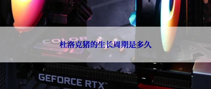 杜洛克猪的生长周期是多久