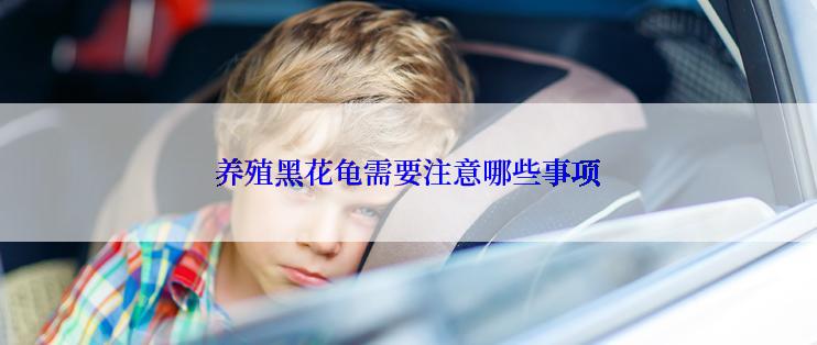 养殖黑花龟需要注意哪些事项