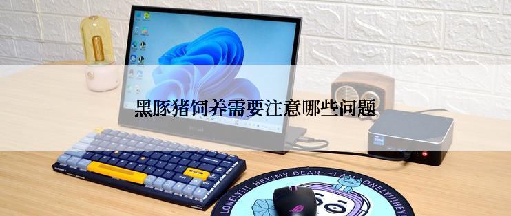 黑豚猪饲养需要注意哪些问题