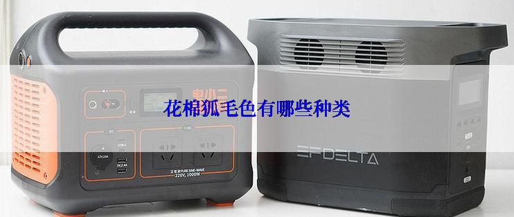 花棉狐毛色有哪些种类