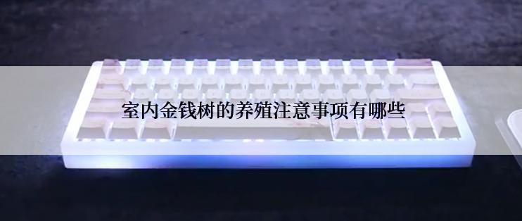  室内金钱树的养殖注意事项有哪些