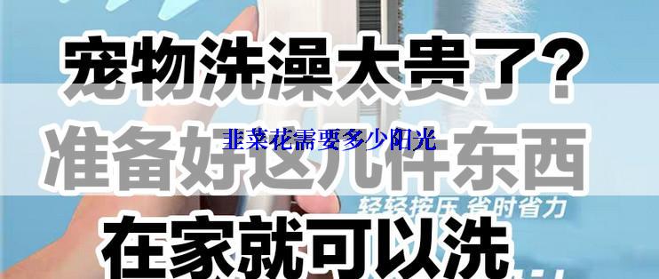 韭菜花需要多少阳光