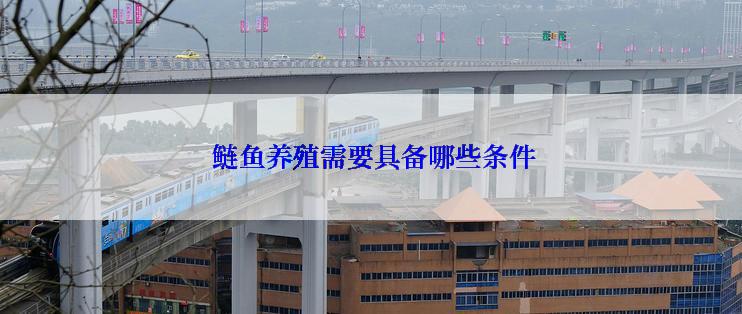  鲢鱼养殖需要具备哪些条件