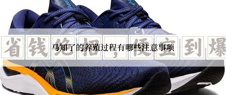 马知了的养殖过程有哪些注意事项