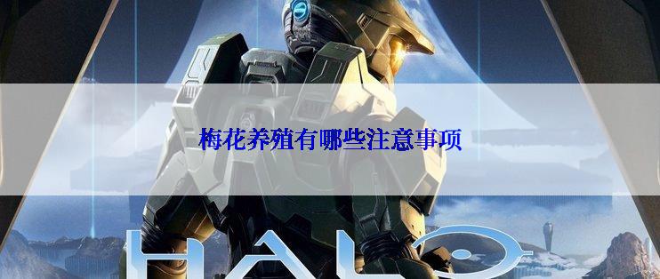 梅花养殖有哪些注意事项