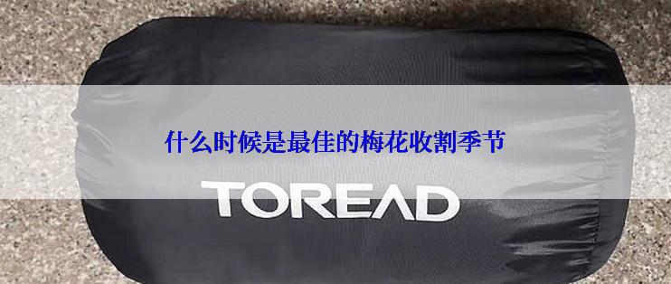 什么时候是最佳的梅花收割季节