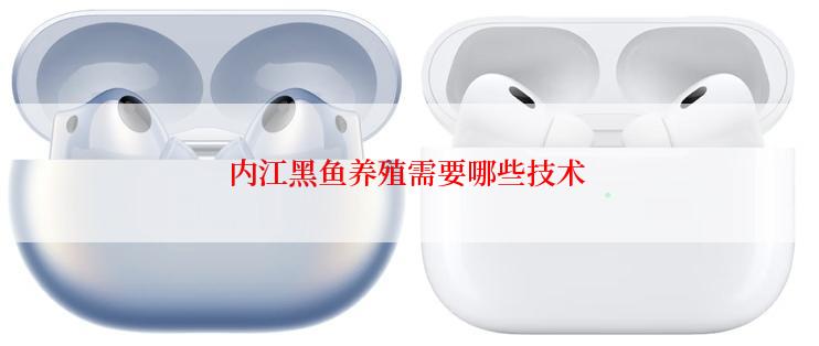 内江黑鱼养殖需要哪些技术