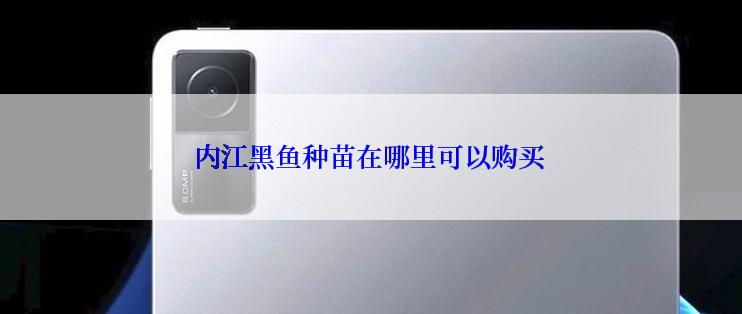 内江黑鱼种苗在哪里可以购买