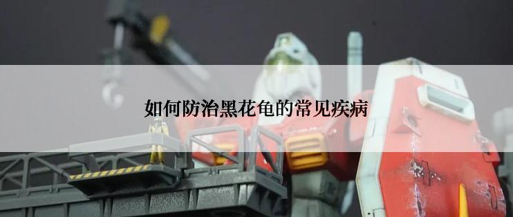 如何防治黑花龟的常见疾病