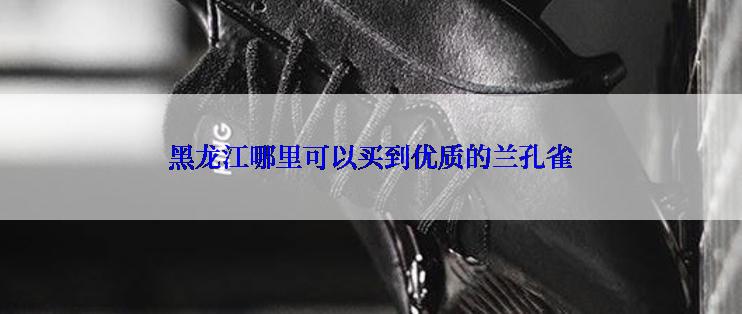 黑龙江哪里可以买到优质的兰孔雀